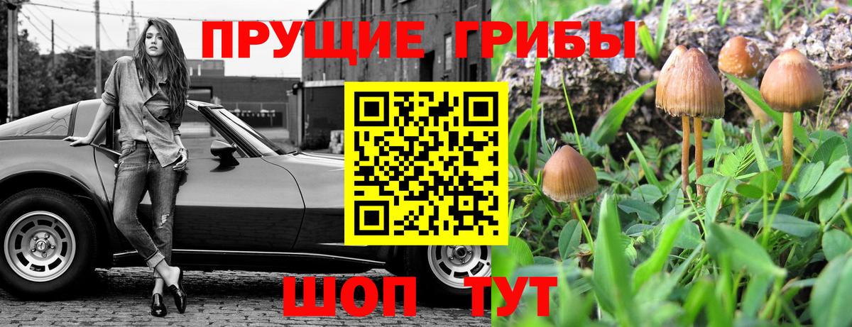 Галлюциногенные грибы Psilocybine cubensis  Вход с VPN  Галлюциногенные грибы ЛСД  Нефтеюганск 